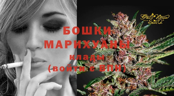 Альфа ПВП Нефтекумск
