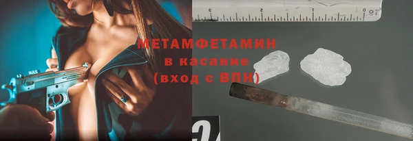 прущие грибы Видное