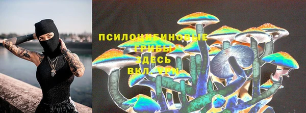 Альфа ПВП Нефтекумск