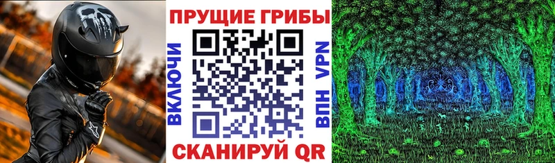 Галлюциногенные грибы GOLDEN TEACHER  наркошоп  Истра 