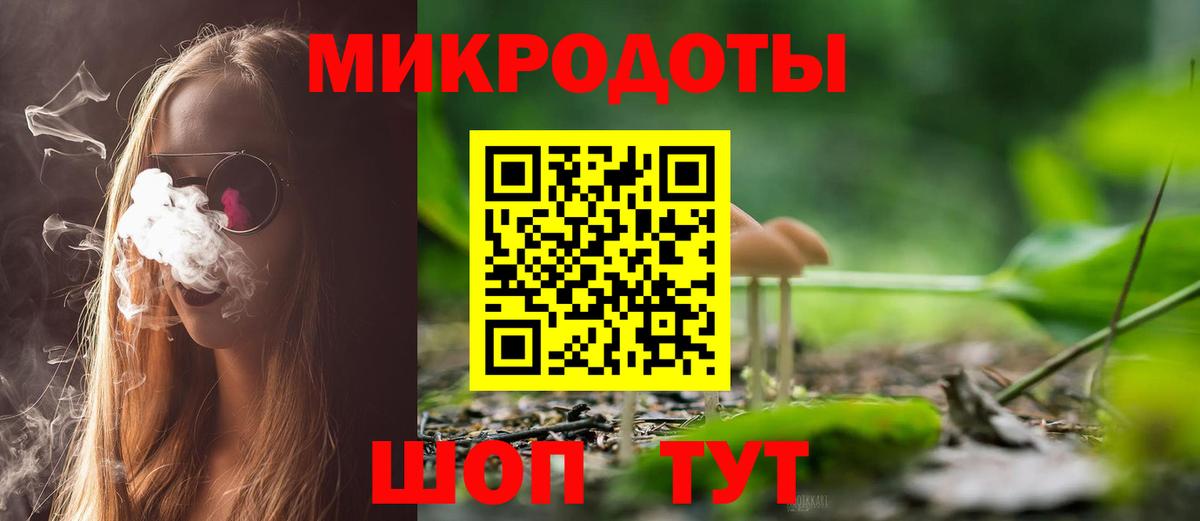 Псилоцибиновые грибы Cubensis  Истра  Галлюциногенные грибы GOLDEN TEACHER 