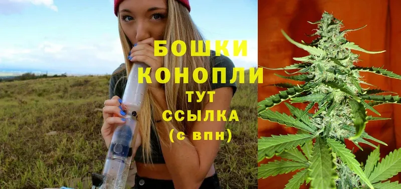 где купить наркоту  Истра  Канабис SATIVA & INDICA 